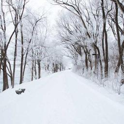 Gorgeous Frozen Table thumbnail 2