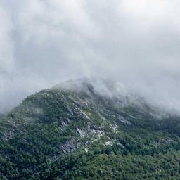 Tasty Fresh Keyboard thumbnail 5