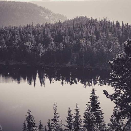 Fantastic Frozen Shoes