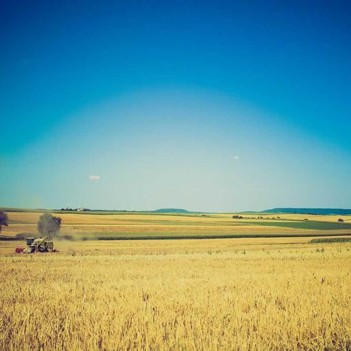 Handcrafted Steel Table