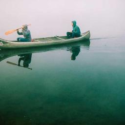 Elegant Concrete Salad thumbnail 2