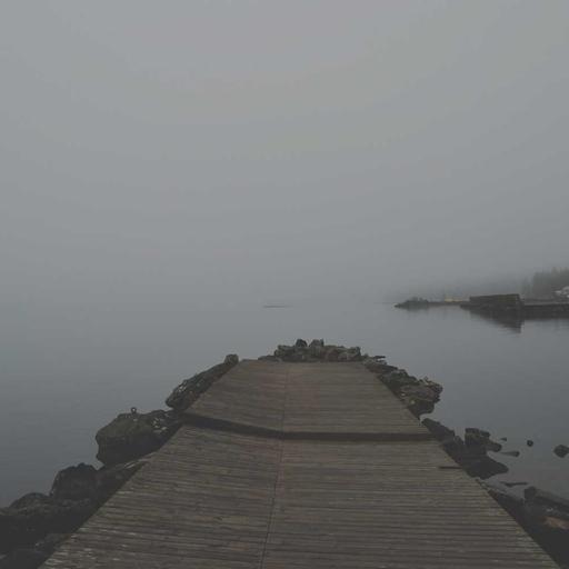 Generic Rubber Chicken