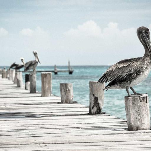 Ergonomic Metal Soap