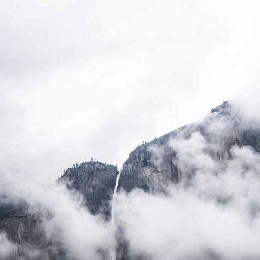 Refined Cotton Salad