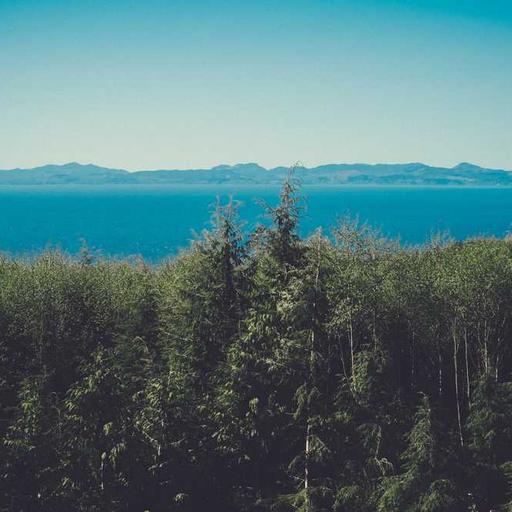 Unbranded Cotton Fish