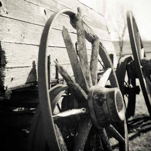 Intelligent Fresh Pizza