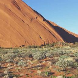 Electronic Wooden Hat thumbnail 3