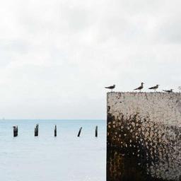 Luxurious Granite Bike thumbnail 4