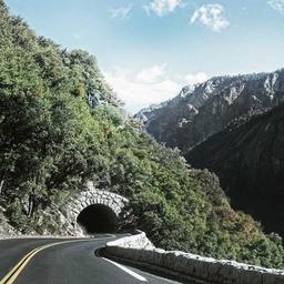 Intelligent Fresh Cheese thumbnail 4