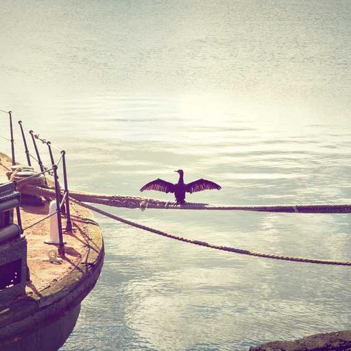 Incredible Frozen Soap