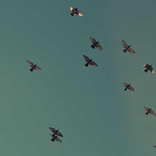 Fantastic Plastic Chair