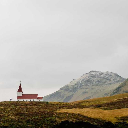 Ergonomic Plastic Gloves