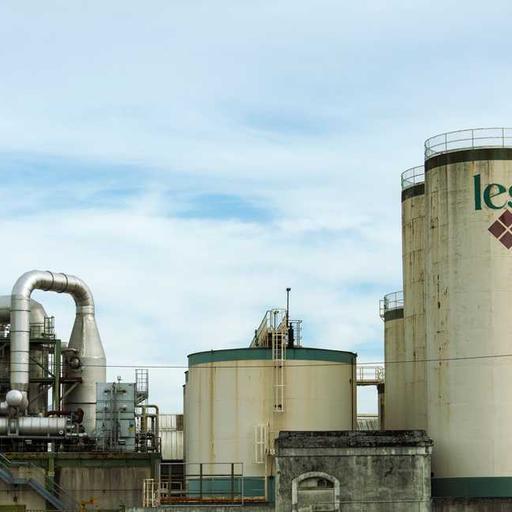 Licensed Metal Shoes