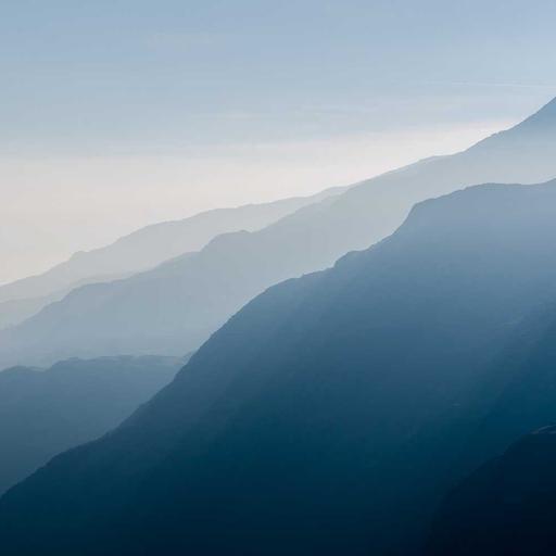 Refined Plastic Fish