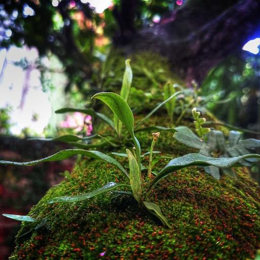 Sleek Metal Keyboard