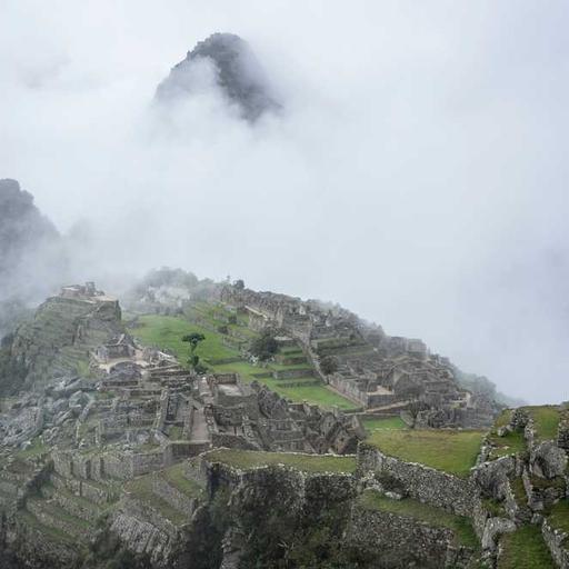 Intelligent Soft Soap