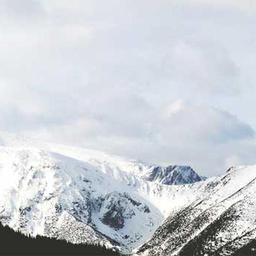 Unbranded Steel Pizza thumbnail 3