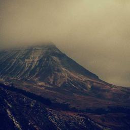 Modern Plastic Chicken thumbnail 5