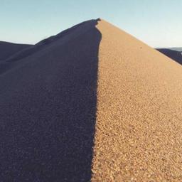 Refined Concrete Fish thumbnail 4