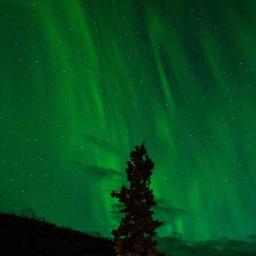 Unbranded Cotton Car thumbnail 1