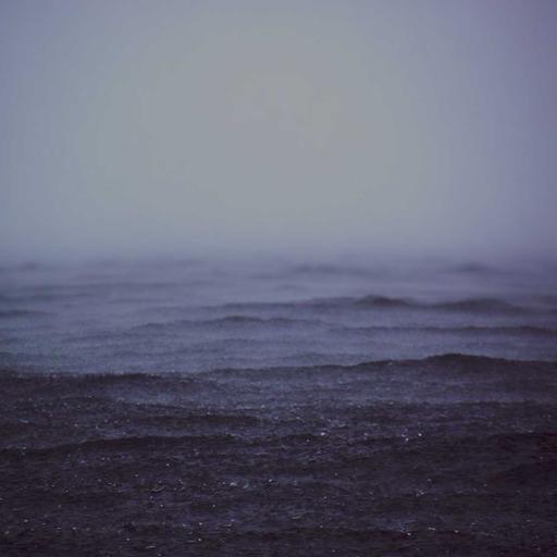 Gorgeous Bronze Mouse