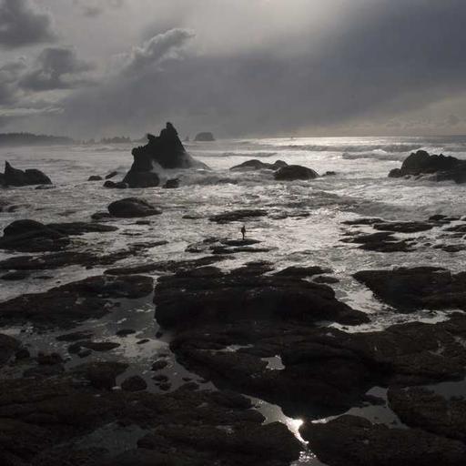 Recycled Cotton Chips