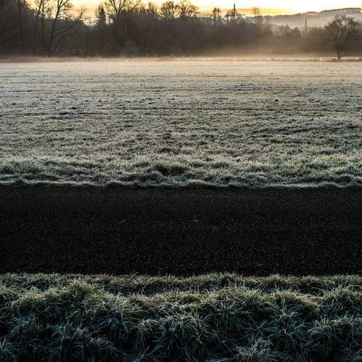 Fantastic Frozen Tuna