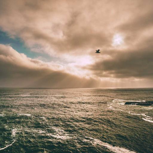 Oriental Bronze Sausages