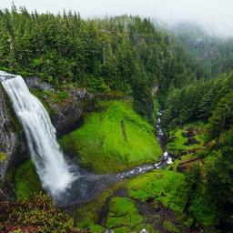 Rustic Bronze Salad thumbnail 1