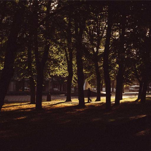 Electronic Soft Ball