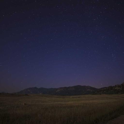 Tasty Concrete Chair