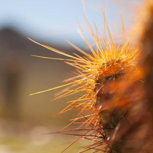 Unbranded Soft Keyboard