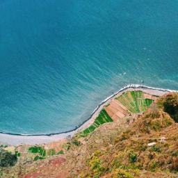 Handmade Frozen Bacon thumbnail 5