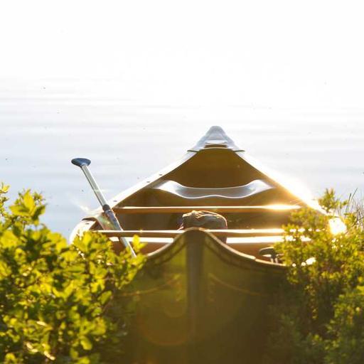 Fantastic Soft Chair