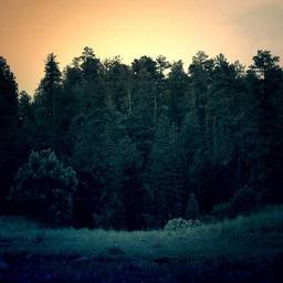 Luxurious Plastic Salad thumbnail 5