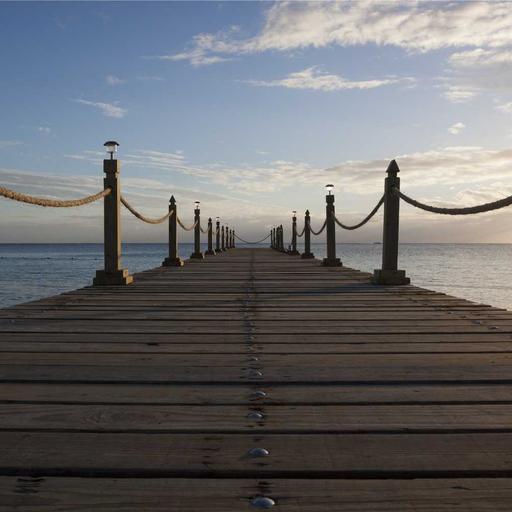 Bespoke Granite Fish