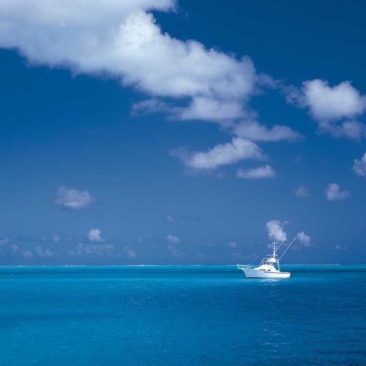 Intelligent Fresh Computer