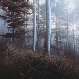 Recycled Cotton Shoes thumbnail 1