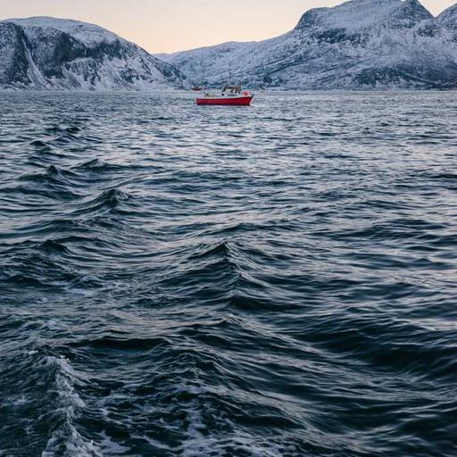 Licensed Concrete Mouse