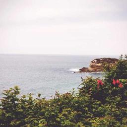 Electronic Concrete Bike thumbnail 4