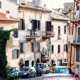 Oriental Rubber Chips thumbnail 2