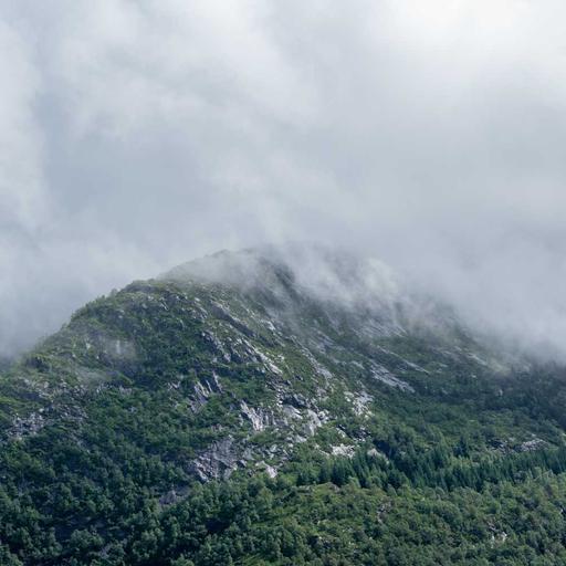 Handcrafted Fresh Ball