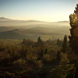 Handcrafted Rubber Ball thumbnail 4