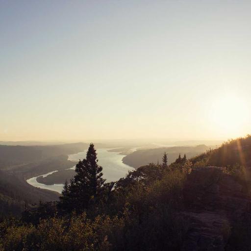 Electronic Wooden Sausages