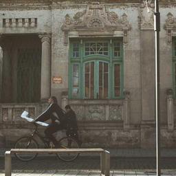 Oriental Cotton Bike thumbnail 2