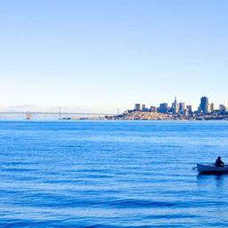 Gorgeous Cotton Gloves thumbnail 3