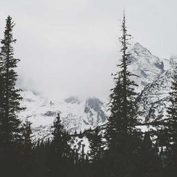Rustic Fresh Table thumbnail 5