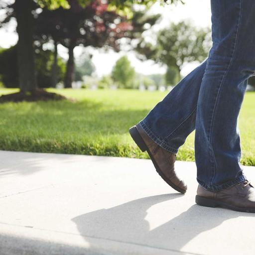 Fantastic Bronze Chips