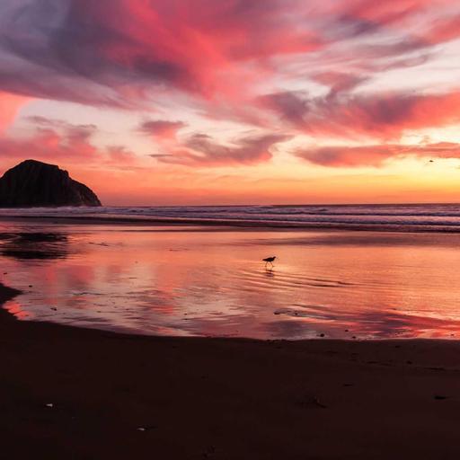 Generic Cotton Sausages