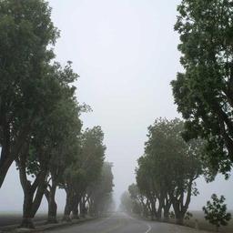 Incredible Steel Salad thumbnail 3